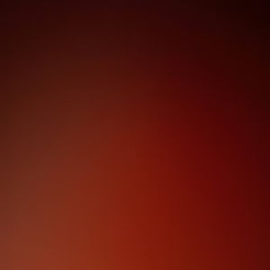 Meet your Posher, Kelly-ann